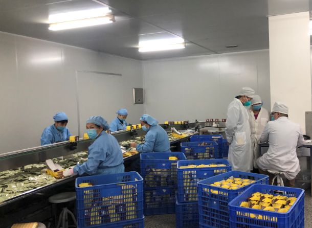 【初心如磐，使命在肩】j9国际集团第三党支部组织员工提前复工保险出产